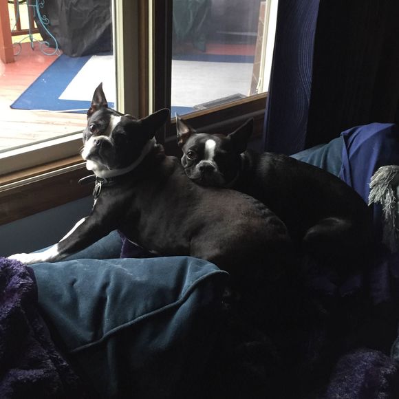 Meet your Posher, Michael - Picture 1 of 1